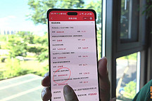 電車保險(xiǎn)就是個(gè)坑！真那么貴嗎？看喵哥的電車?yán)m(xù)保費(fèi)用就明白了 