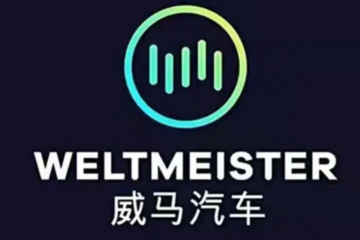 自己赚12.59亿，公司亏损82亿，威马创始人“天价薪酬”引争议！