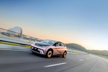 海豚5月销量意外下滑，热度依旧不减