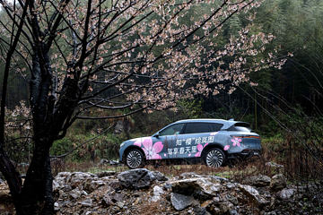 岚图：给信任多一点时间