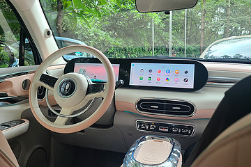 没有一个女人可以拒绝“芭蕾猫”