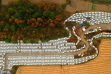 浙江千辆共享电动汽车被弃荒野，触目惊心！ 