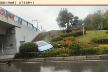 极氪汽车再“翻车”！