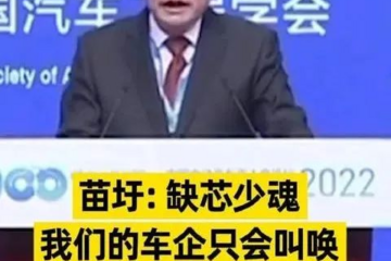 前工信部长痛批，我们车企，只会叫唤