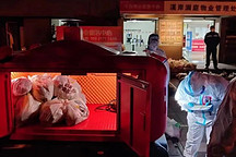 和無(wú)人車一起做志愿者的31天