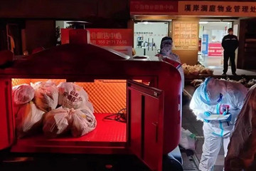 和无人车一起做志愿者的31天