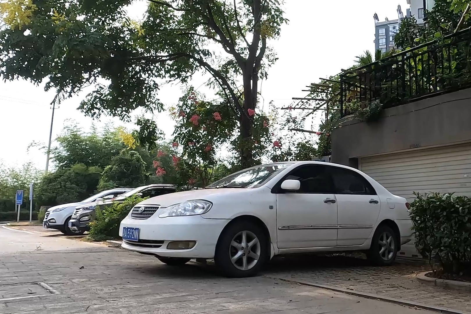 車子經(jīng)常停樹下，要經(jīng)常檢查這幾個地方，免得漏水就麻煩了