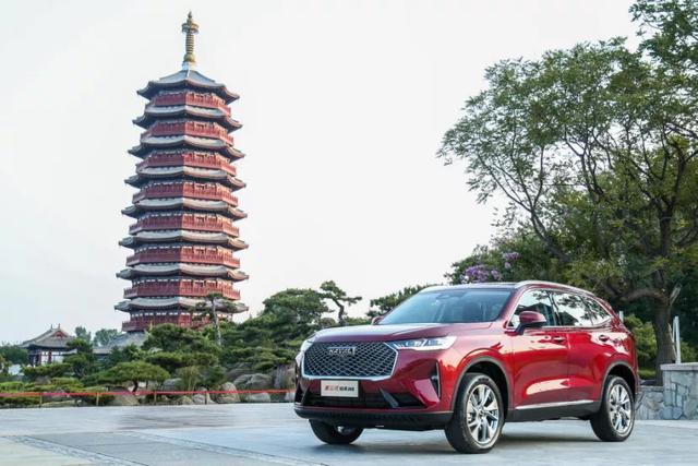 与黑猫玩耍，像柠檬般酸爽？成都车展长城汽车还要玩什么梗？