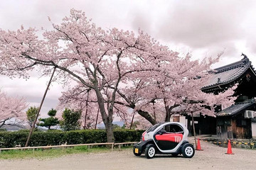 日本人真的不喜欢新能源汽车吗？