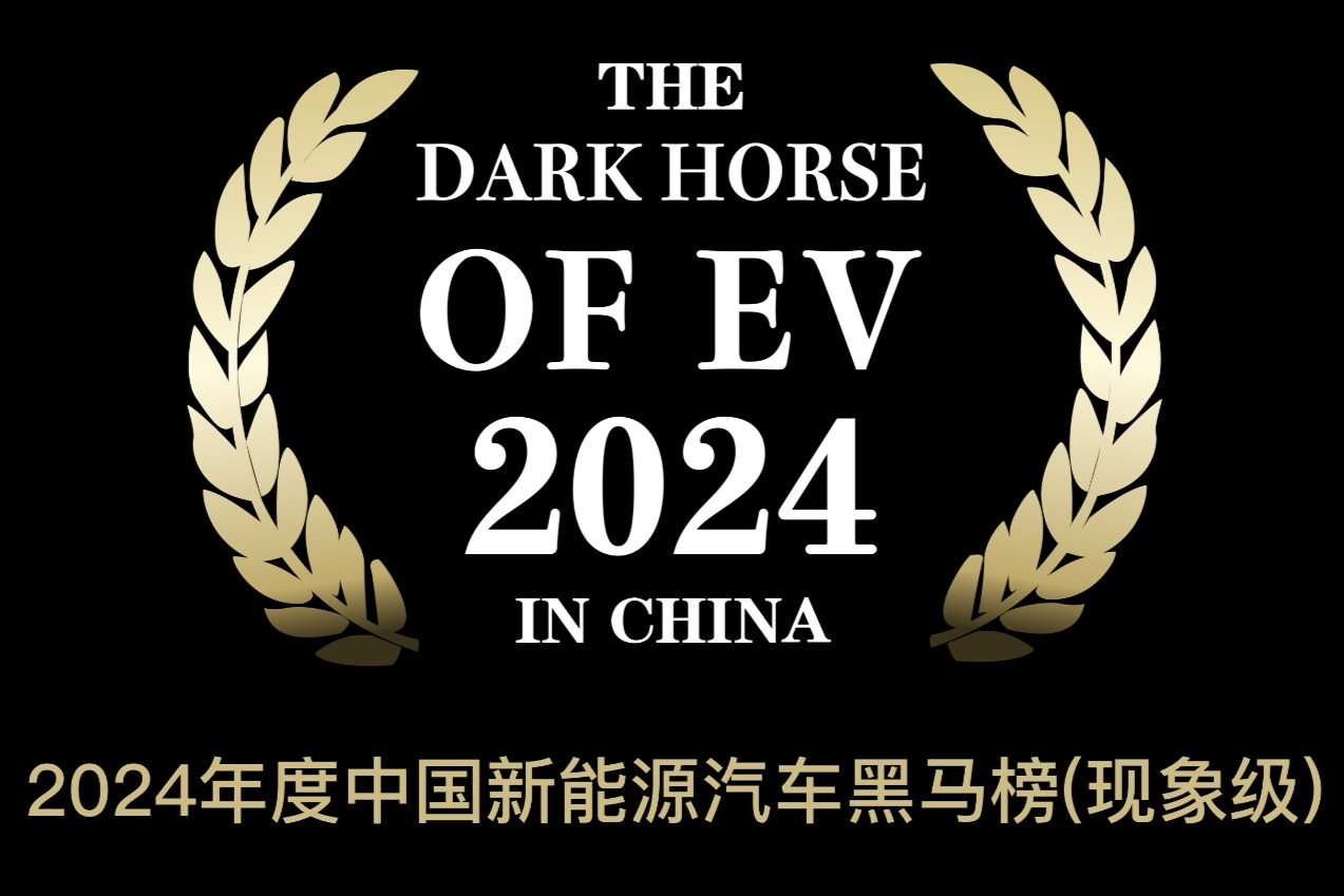 2024年度中国新能源汽车黑马榜（现象级）