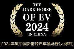 2024年度中国新能源汽车黑马榜（大爆款）