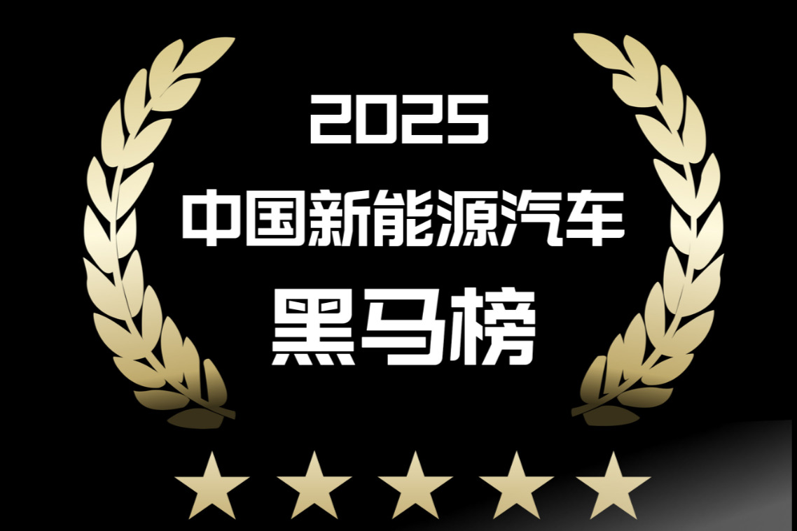 2025年度新能源汽车黑马榜（总榜说明）