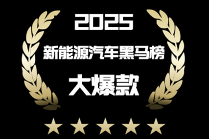 2025年度新能源汽车黑马榜（大爆款）