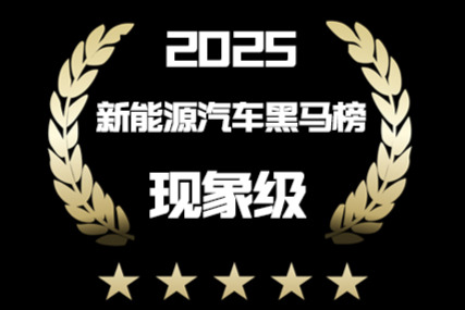2025年度新能源汽车黑马榜（现象级）
