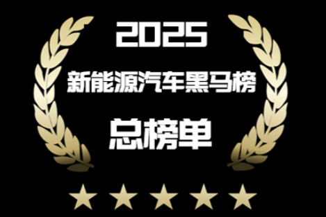 2025年度新能源汽车黑马榜（总榜单-下）