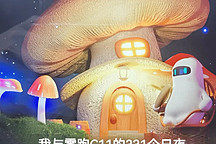 我與零跑C11的331個日夜
