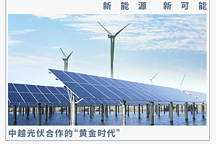 光伏出海越南：大廠的福地，小廠的滑鐵盧？