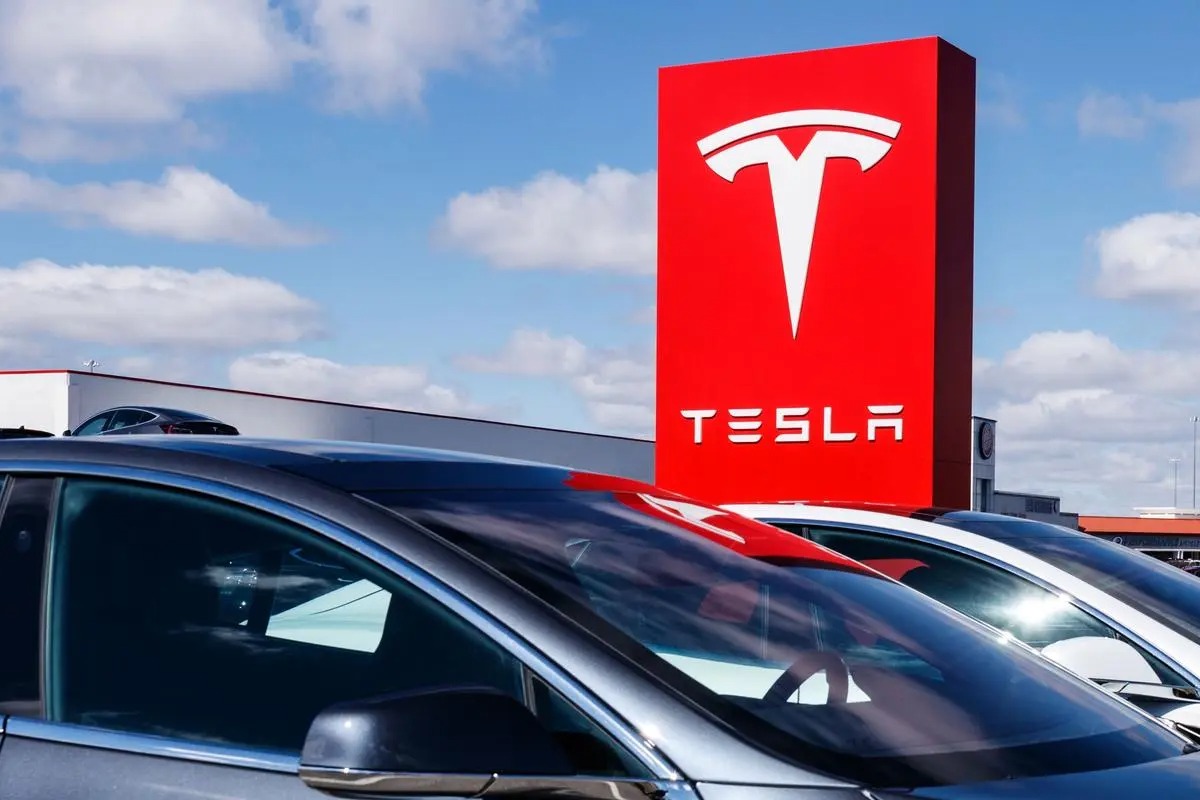 女版巴菲特解释清仓英伟达，称特斯拉上涨空间更大