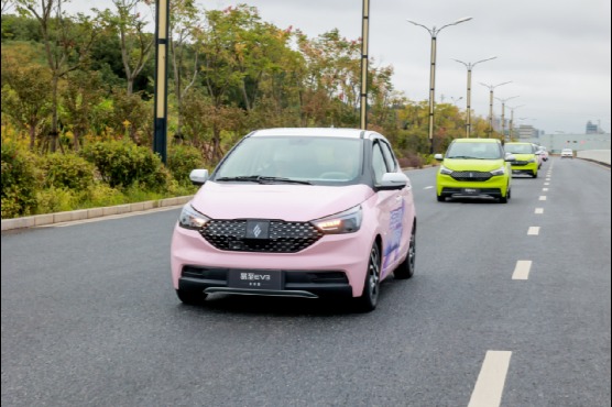 为中国年轻家庭而生,易至EV3青春版灵动上市售价5.28万起