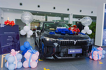 嵐圖新Free3000公里用車感受