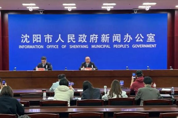 沈阳将发放8000万元春季汽车消费补贴