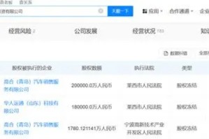 华人运通所持38亿股权被冻结