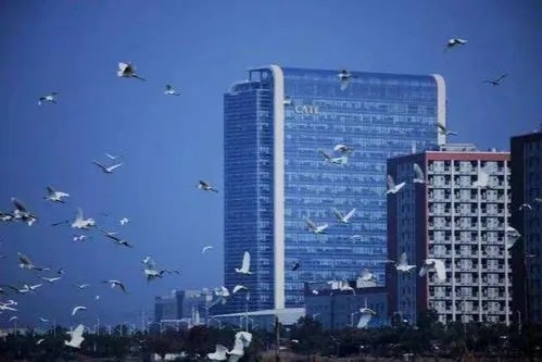 宁德时代:网传消息系造谣