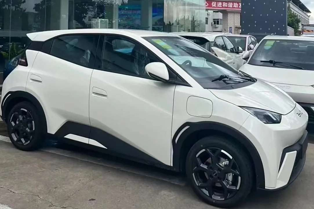 比亚迪：自研独立压缩机冰箱最快明年上车，海豚、海鸥都将配备