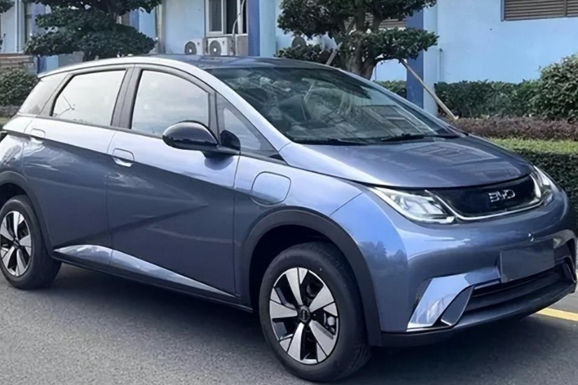 “冠军豚”年后上市，比亚迪是否会打响龙年第一枪？