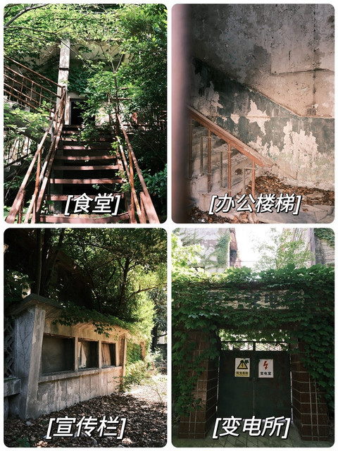 微信图片_20240603195010.jpg