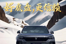 堅如磐石，嵐圖free318之卓越底盤