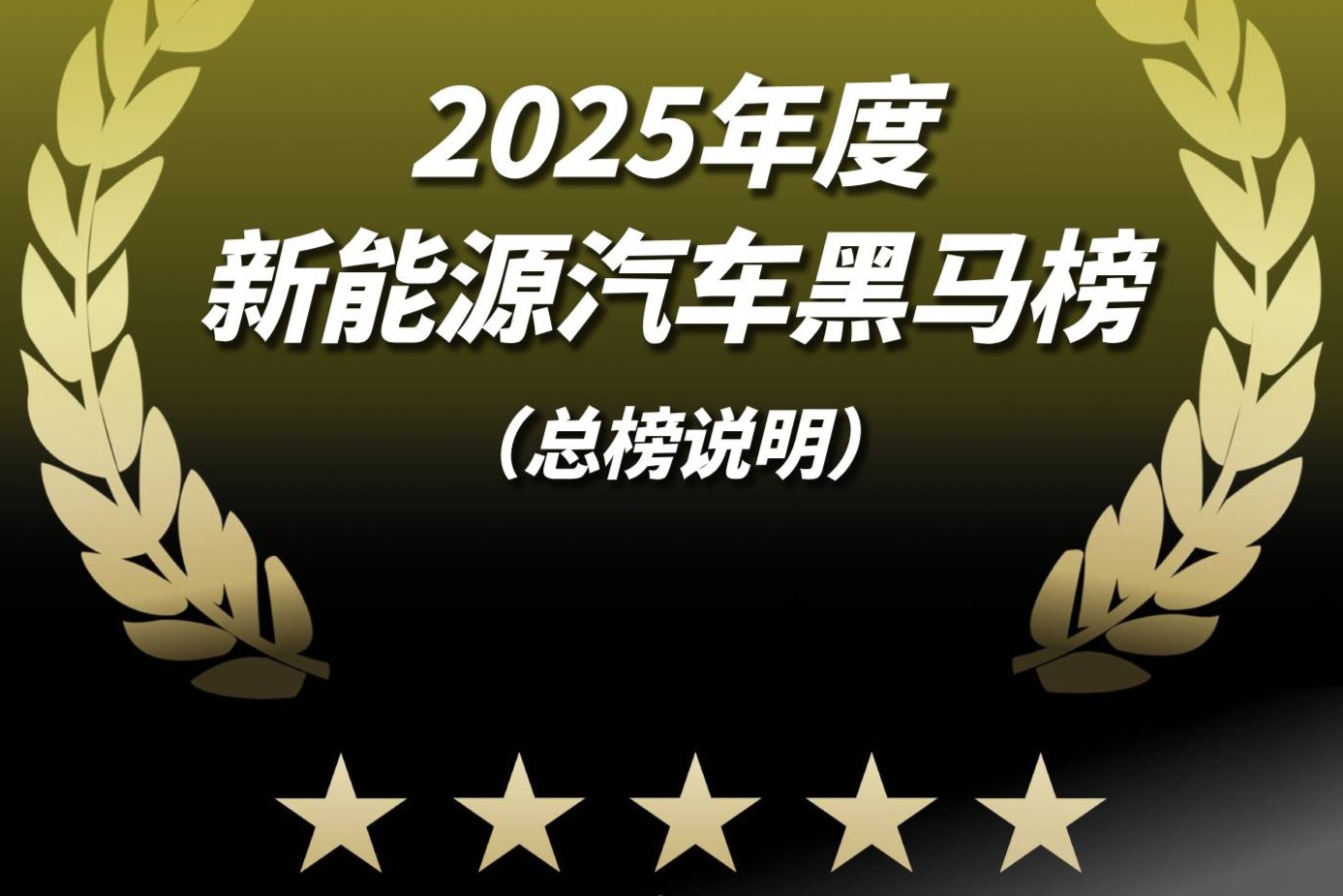 2025新能源汽车黑马榜（总榜说明）