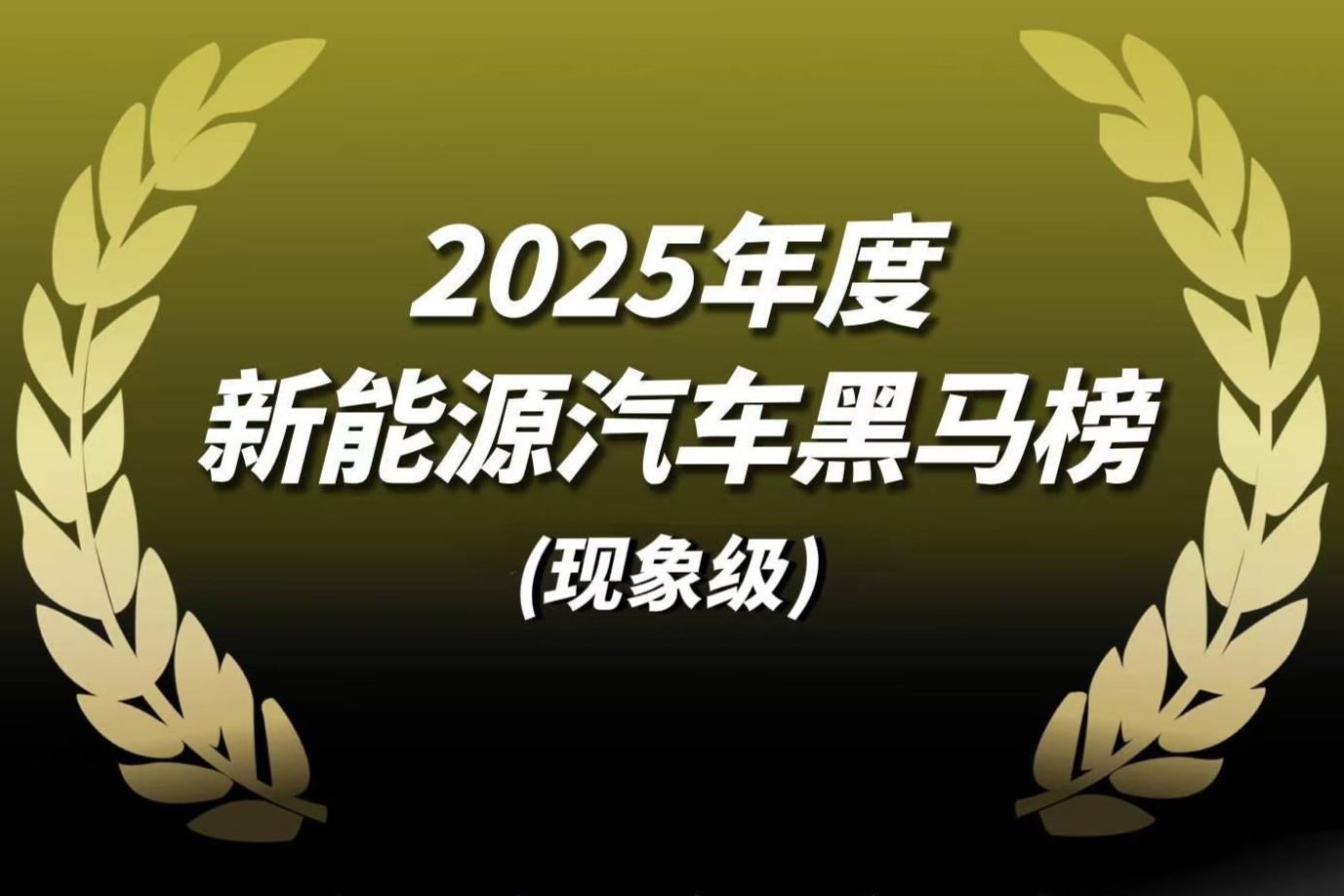2025新能源汽车黑马榜（现象级）