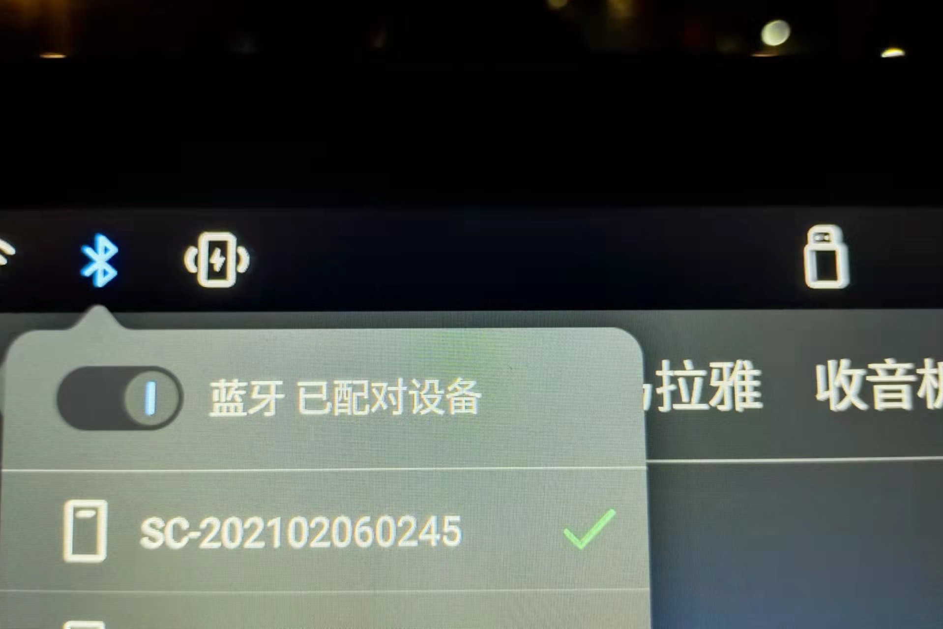 車主投稿：零跑的“一百種”玩法
