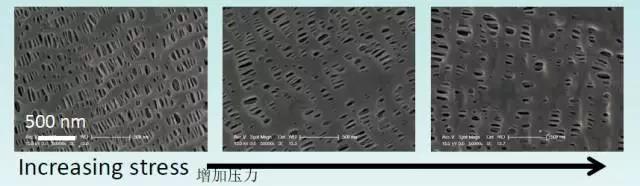 微信圖片_20170724114954.jpg