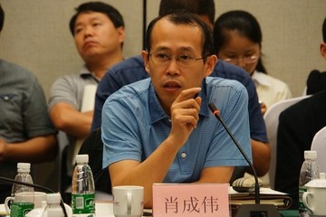 《2017新能源汽车蓝皮书》专家视点（11）：肖成伟预计动力电池产业将迎来高速发展