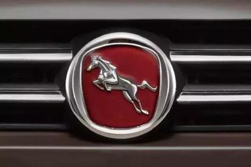 去年新成立的那么多汽车品牌，汉腾、比速，现在能活下去吗？