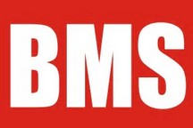 BMS企業(yè)如“雨后春筍”，誰(shuí)能“長(zhǎng)大成林”