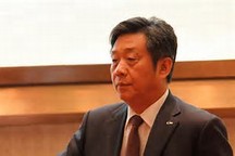 對電動汽車補貼政策調整的建議