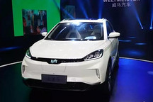 威馬汽車：用不起、買不到，樹再高的逼格都是耍流氓