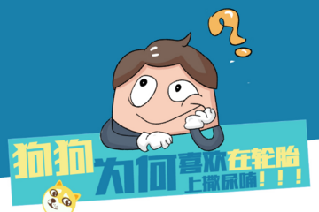 狗为什么喜欢在轮胎边上撒尿? 原因竟然是……