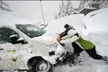 聽說你家下雪了，開車要注意安全