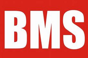 從新款沃藍達BMS架構(gòu)看未來BMS發(fā)展趨勢
