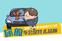 汽車和狗狗對號入座，你是車子是什么品種？