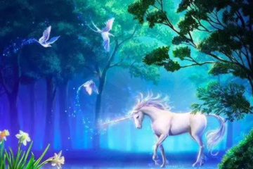 忽如一夜春風來，江湖處處獨角獸