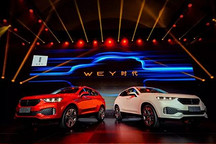 長(zhǎng)城汽車(chē)：一匹走出保定的“獨(dú)狼”