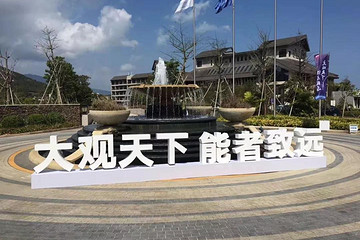 走过十年孤独，观致踏上重生之路