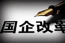  國務院發布推進國有資本投資、運營公司改革試點的實施意見