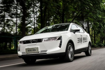 纯电动补贴后9万起，这款车型你心动了吗？