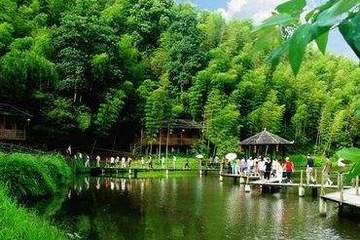 赣州定南县发布充电方案，到2020年建成充电站1座/充电桩300根